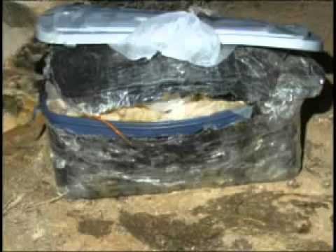 Rubbermaid container with Torso of Jay Orbin
