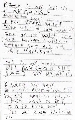 Diary entries