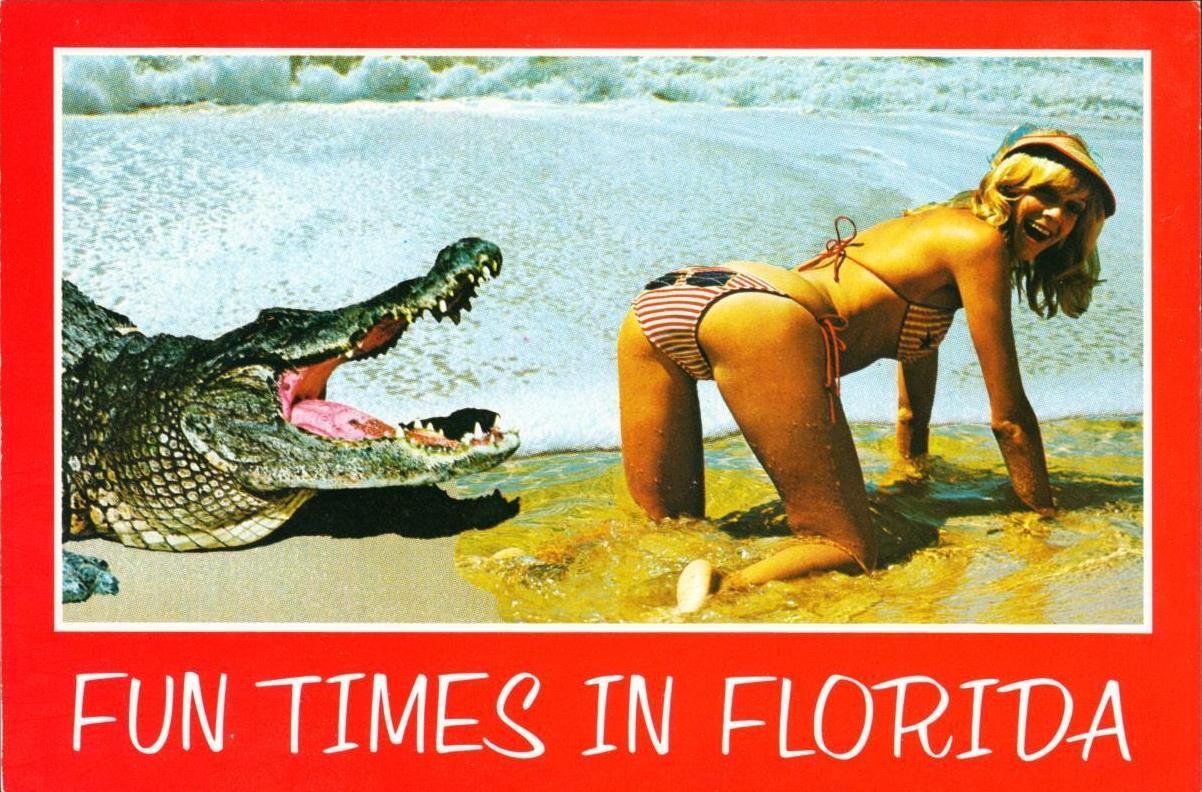 Postcard Michelle sent to her boyfriend