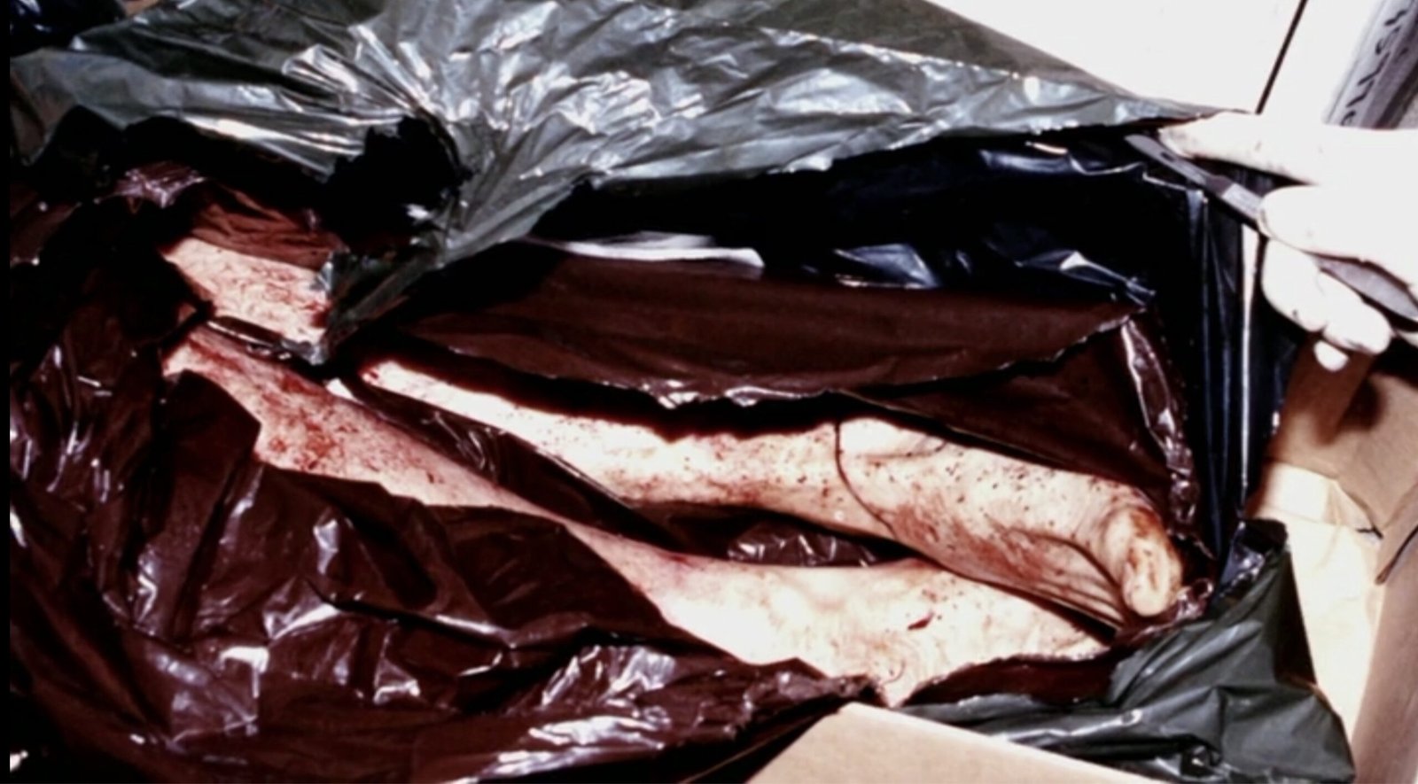 The Egyptian Beauty case photo