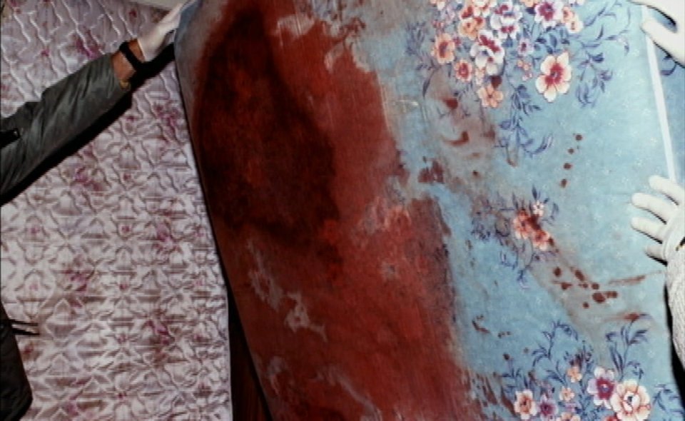 The Egyptian Beauty case photo