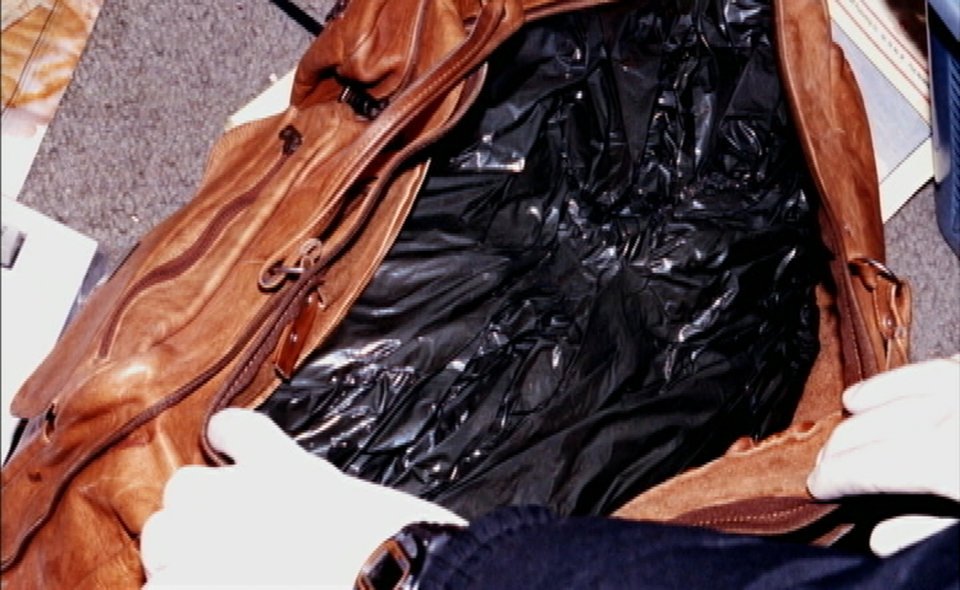 The Egyptian Beauty case photo