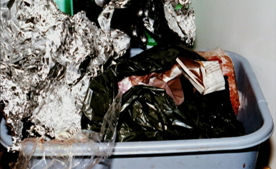 The Egyptian Beauty case photo