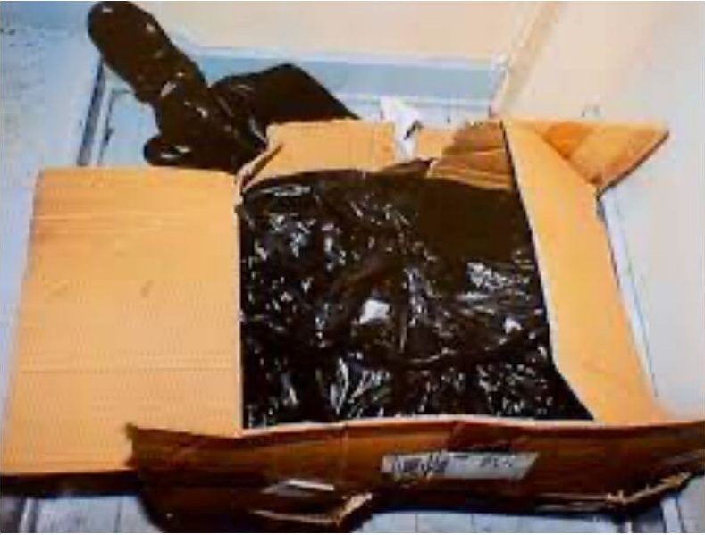 Box containing Ashley Young’s limbs