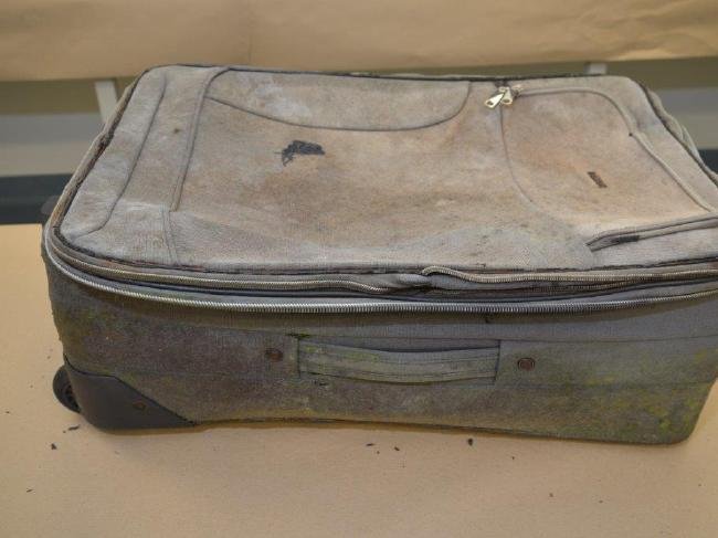 Angelic case photo