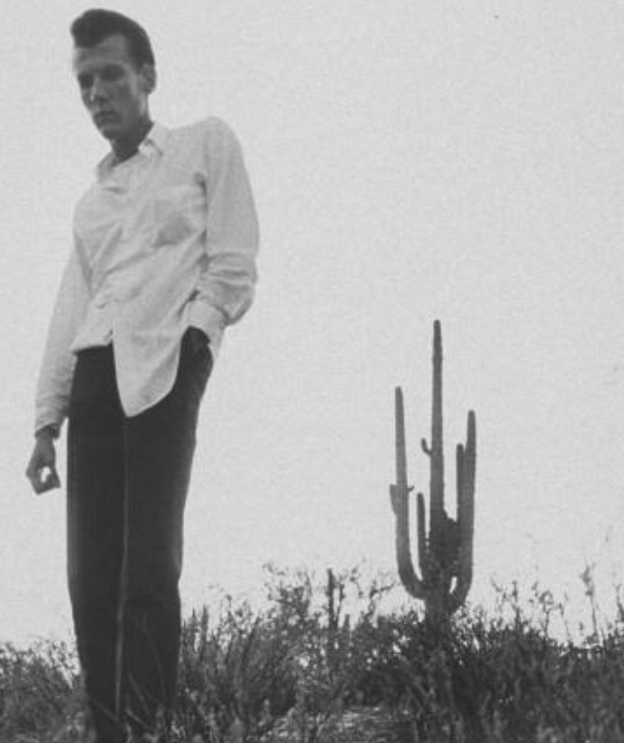 Pied Piper of Tucson case photo