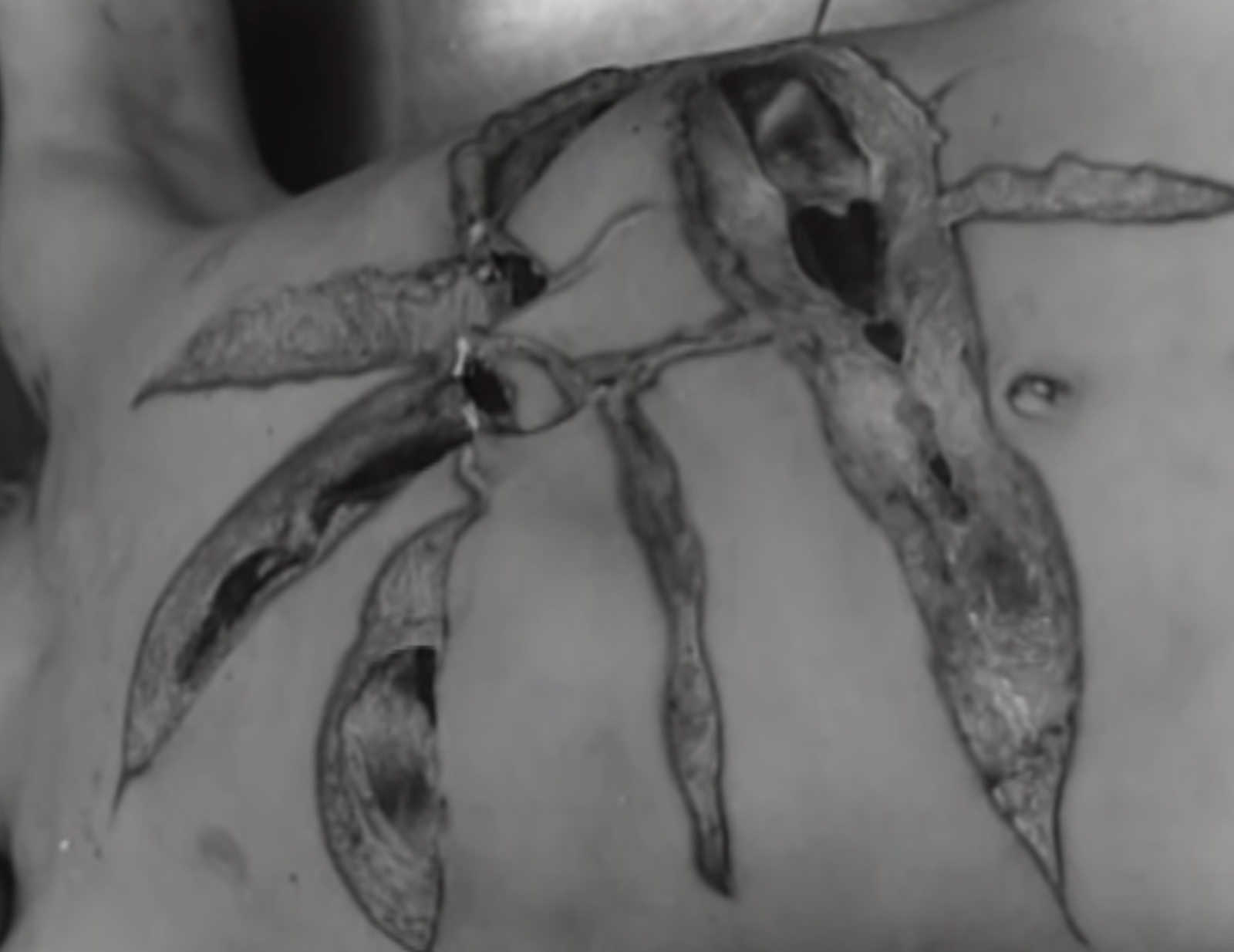 Carving on skin