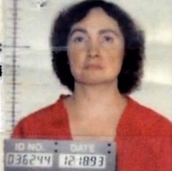 Volume 9 — Theresa Knorr