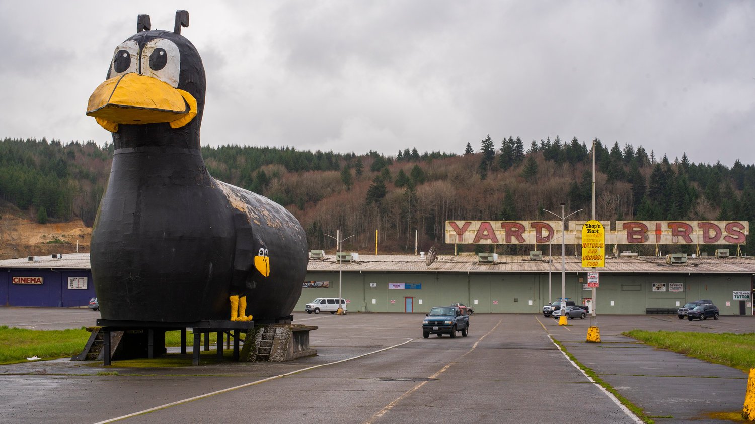 The Yard Birds statue and building are located at 2100 North National Avenue in Chehalis.