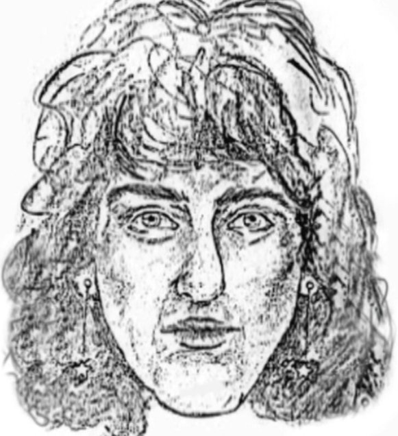 The Bushy-Haired Stranger case photo