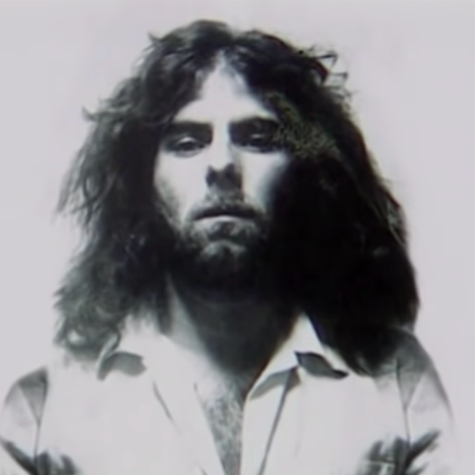 The Bushy-Haired Stranger case photo