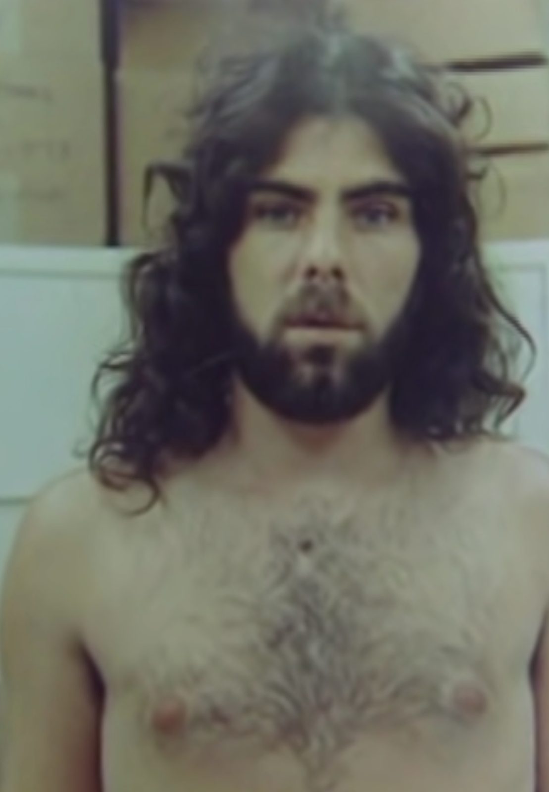 The Bushy-Haired Stranger