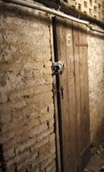 Esti Carranza / Cellar in her ice cream shop