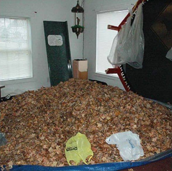 Hoffman's home, full of leaves
