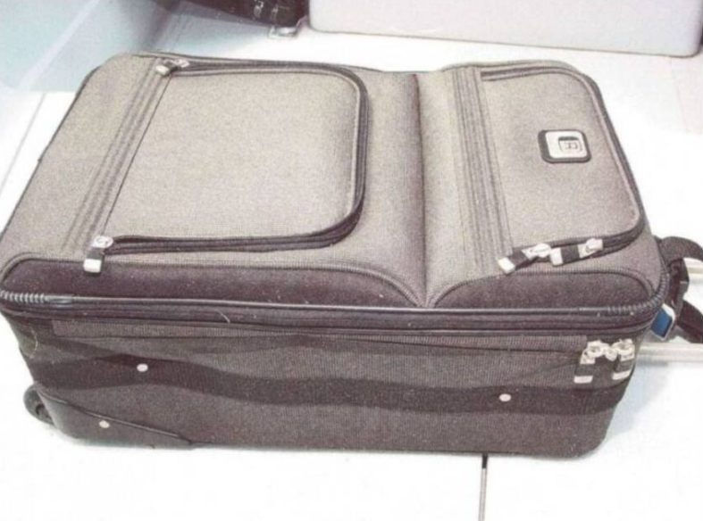 Suitcase & Melanie McGuire