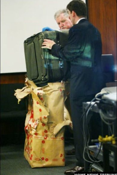 Suitcase & Melanie McGuire