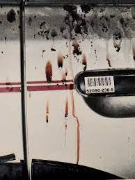 Blood on SUV