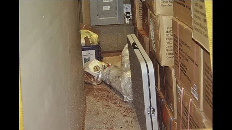 Crime Scene Evidence